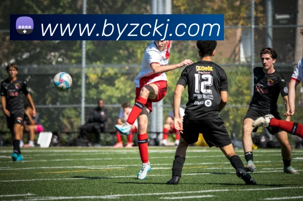 辅助工具 辅助工具